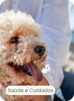15 raças de cachorro peludo super fofas