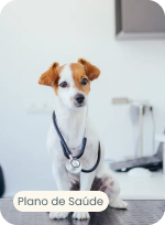 Plano de saúde pet: Uma opção inteligente para o cuidado do seu companheiro
